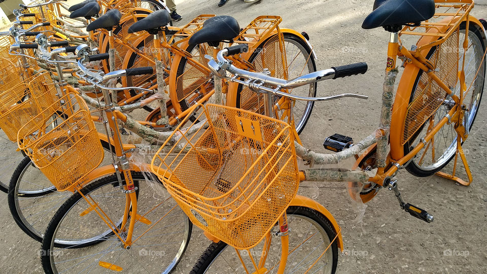 the orange color stories