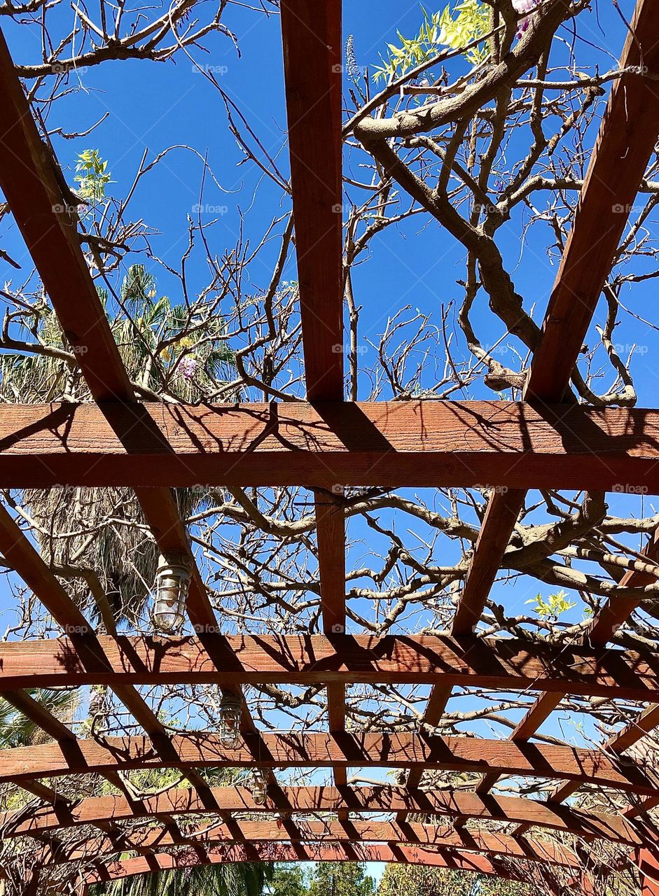 Wooden Overhead Trellis