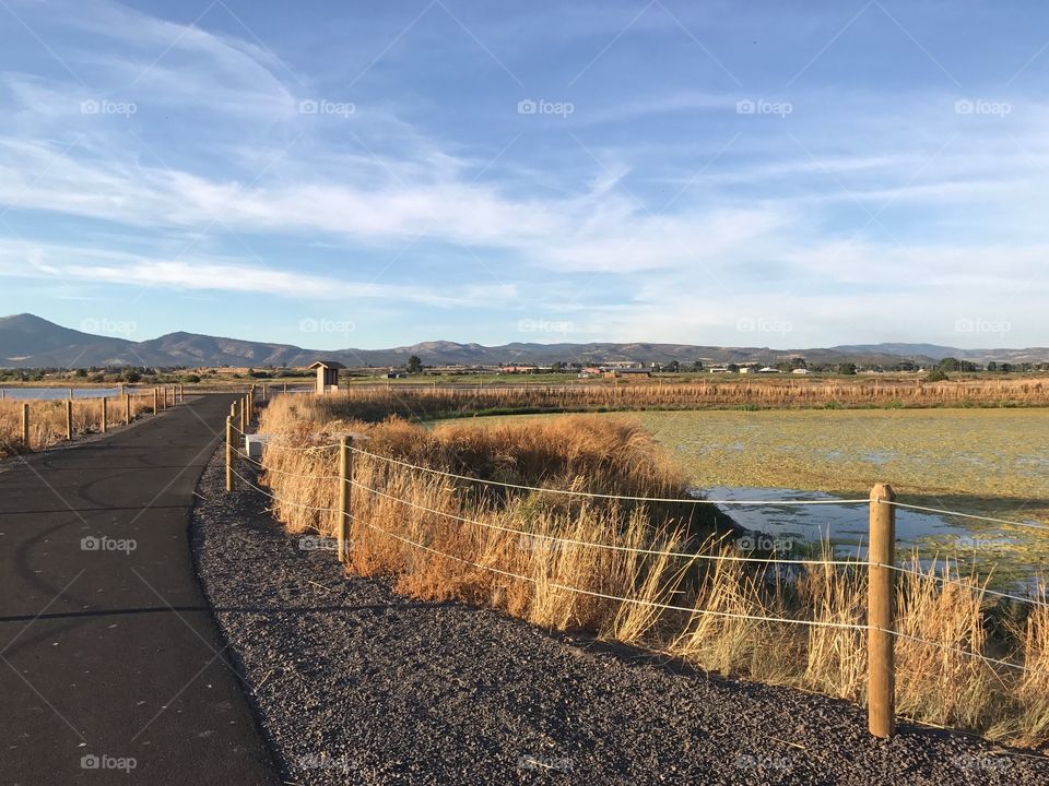 Golden evening light falls upon the Crooked River Wetlands outside of Prineville in in Central Oregon on a pleasant fall day.