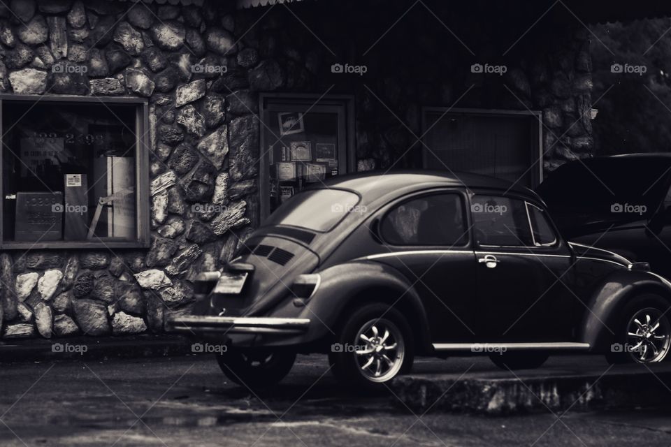 Vintage Bug