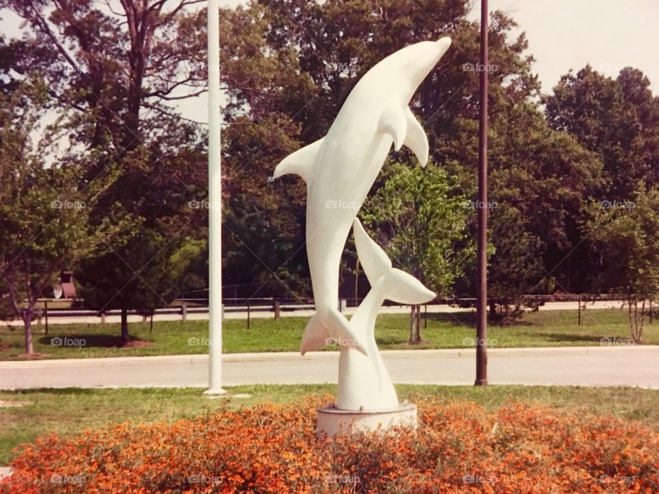 Dolphin statue 