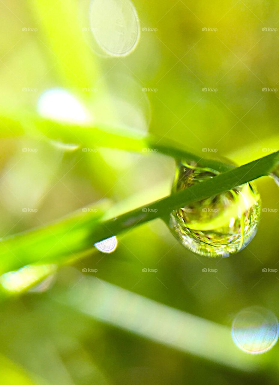 After rain. Simple beauty