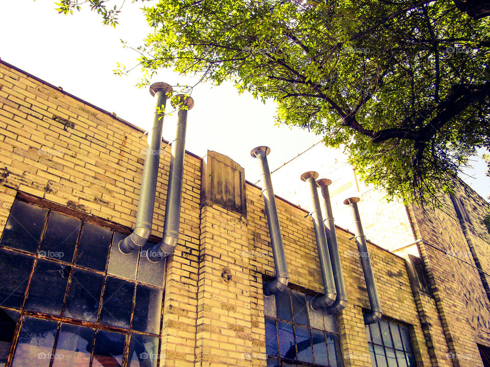 Urban Mushrooms. These pipes reminded me of mushrooms or fungi growing up out of the windows/building