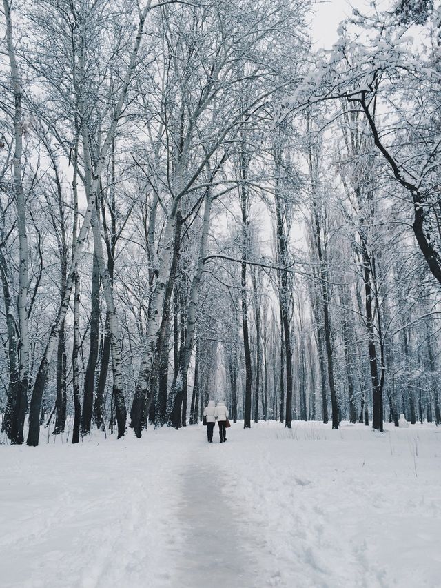 winter
