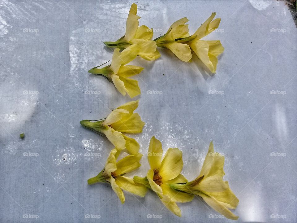 Flower Decoration suitable for wall decoration