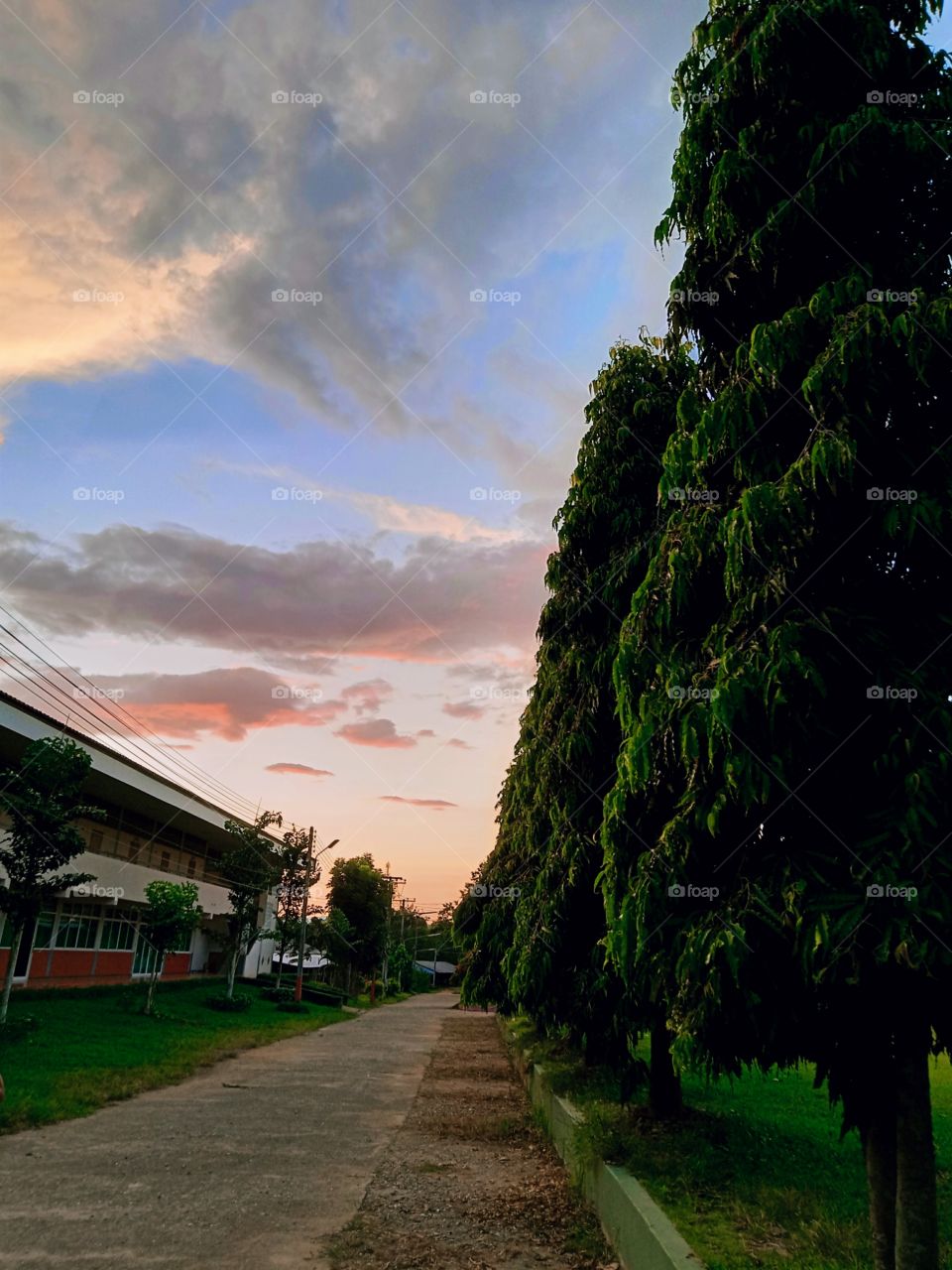 shinning light at school