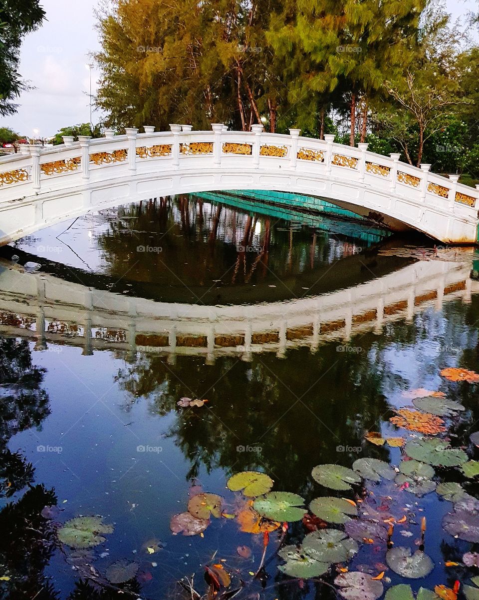 Bridge across pool in park