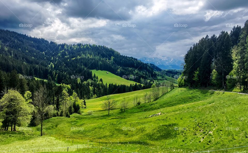 the green hills and forests of Appenzell, Switzerland