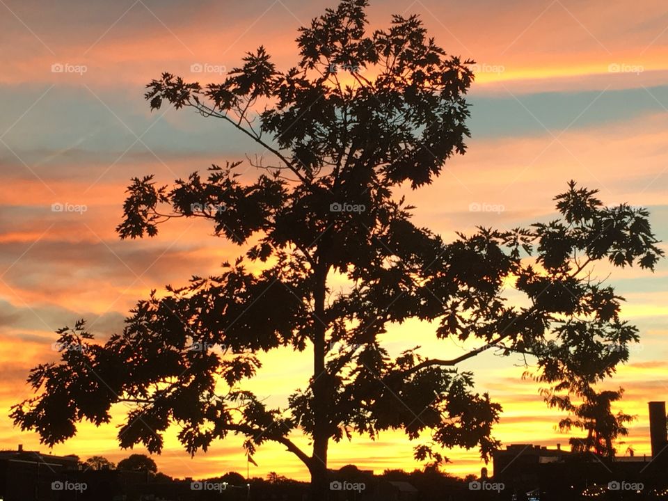 Amazing Work of Mother Nature