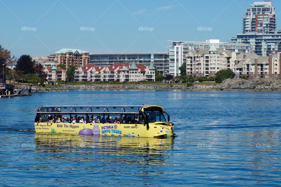 Tourists aboard a bus that can float ... Loved Victoria  🇨🇦