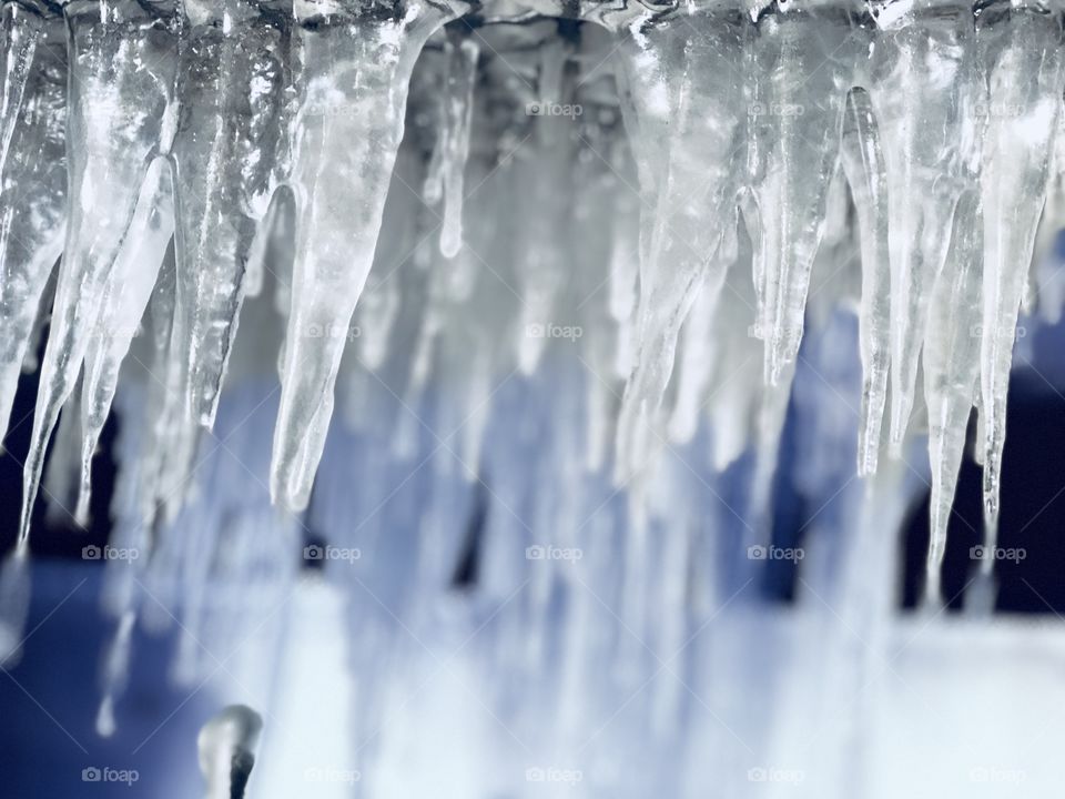 Icicles of winter
