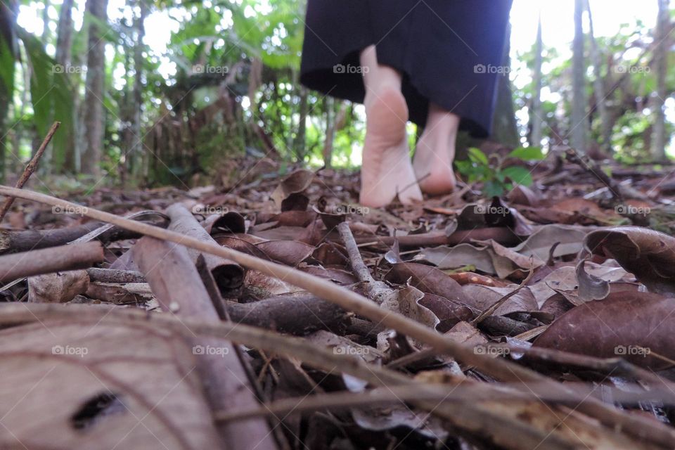 Sentindo o misterio e a aspereza das folhas caídas