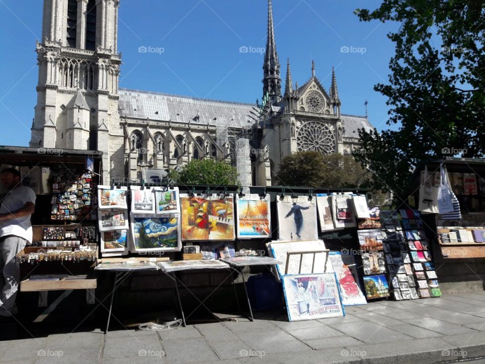 Street Art, Notre Dame 2018 before destruction +