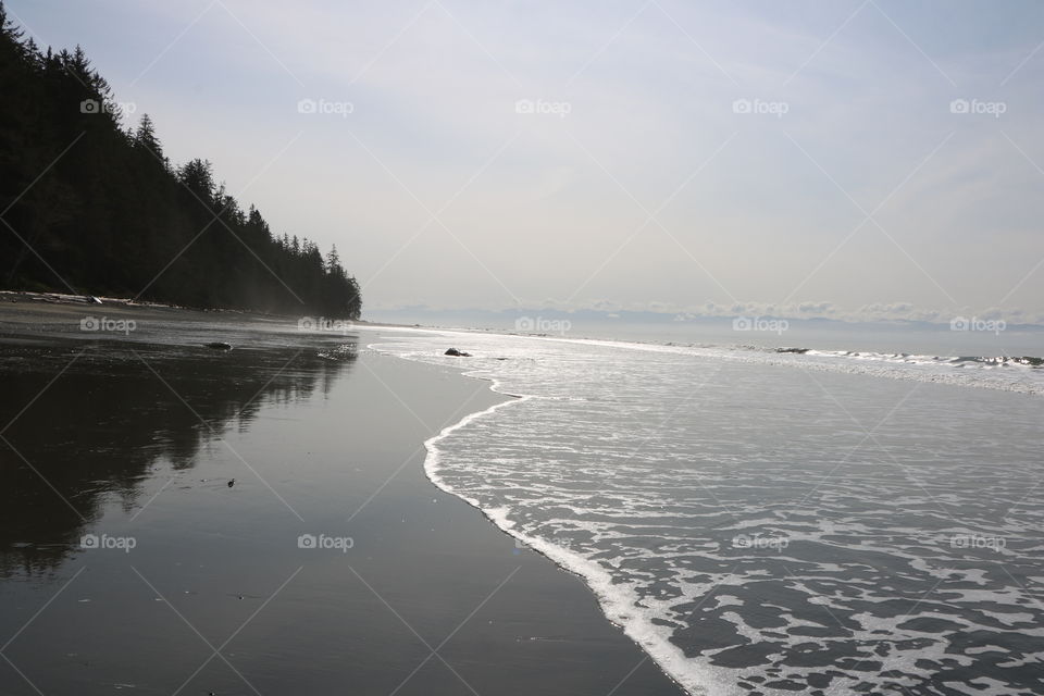 Sandy beach with a shallow water and forest reflecting on it