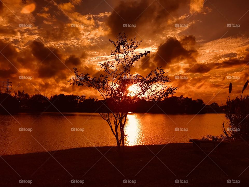 Today stiff south winds and toasty atmosphere being so cloudy with dark hues and the setting sun will bring this to a close Twilight will be swift into Night.