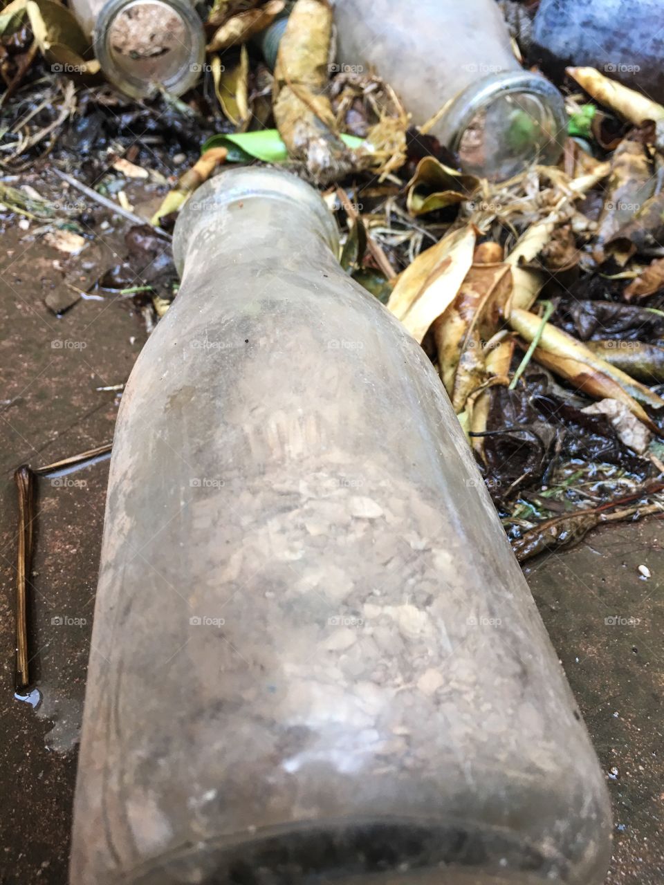 Antique old milk bottle laying on its side on ground surrounded by dead leaves and debris