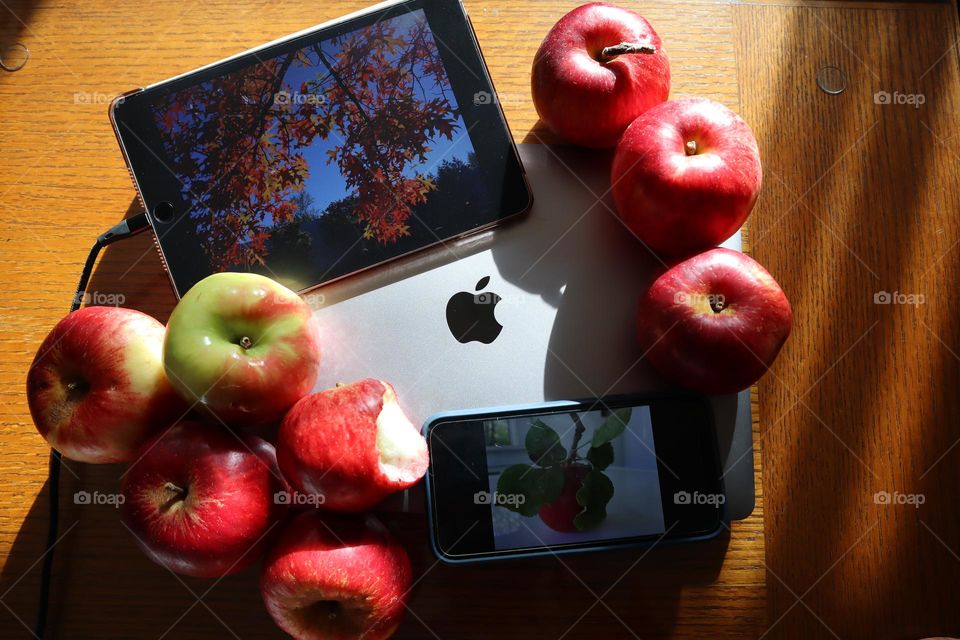 Apple household all the way