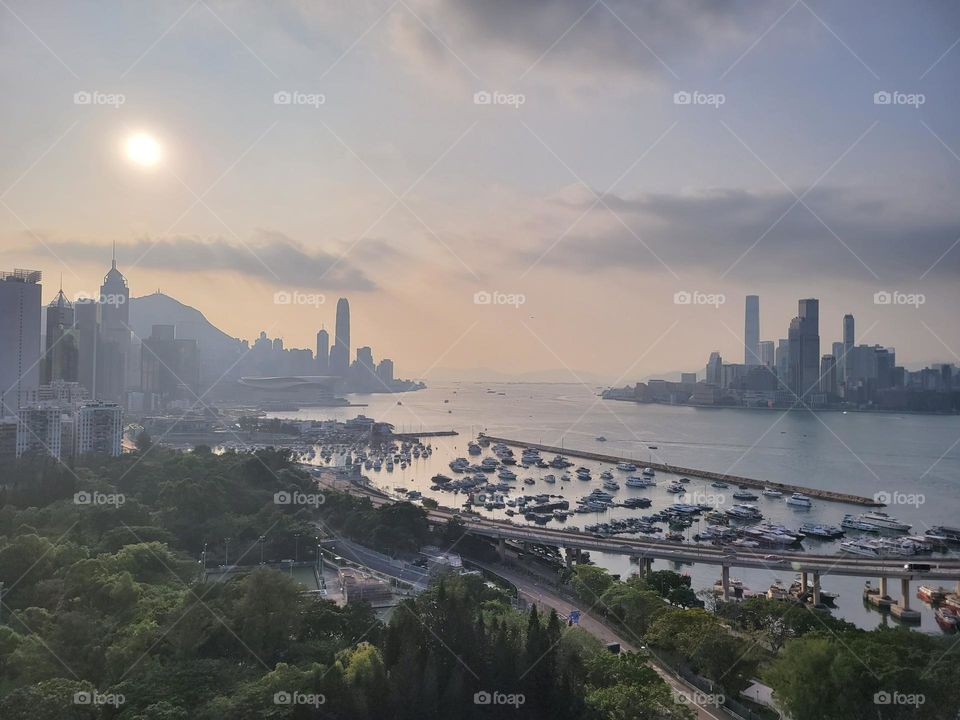 Rooftop Evening Victoria Harbour Hong Kong