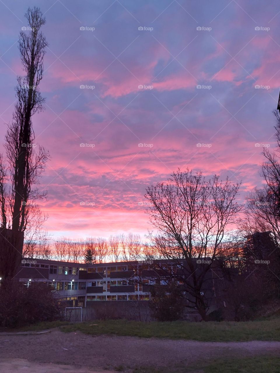 Pink clouds ☁️💗