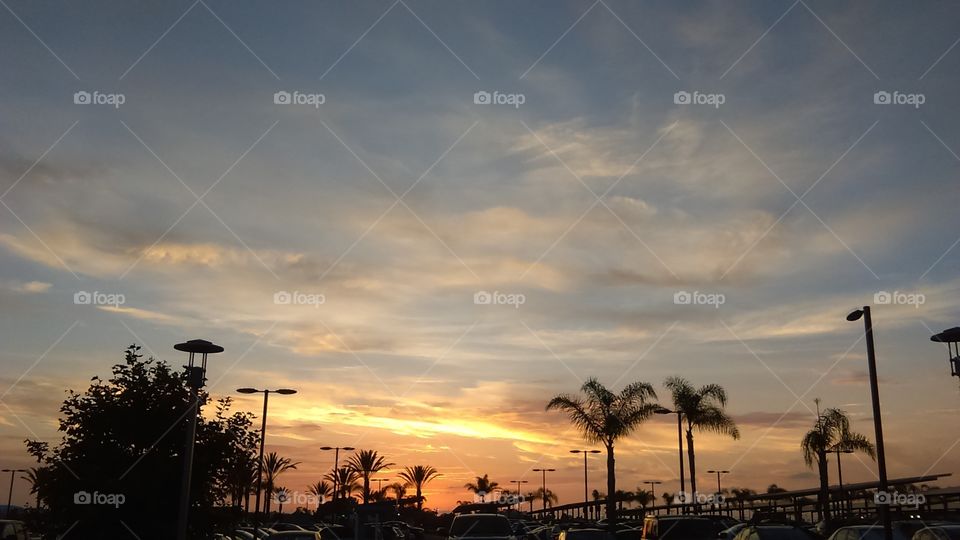 Welcome to San Diego International Airport - palm trees, beaches, & lovely sunset vistas await...