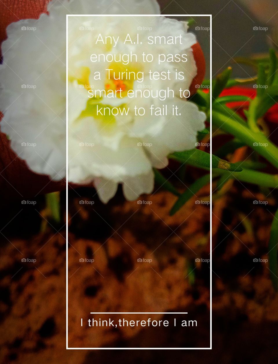 #today #love #instagram #instagood #like #follow #photography #life #photooftheday #me #happy #picoftheday #beautiful #instadaily #nature #fashion #photo #art #likeforlikes #smile #motivation #myself #now #style #day #selfie #music #insta #l #bhfyp