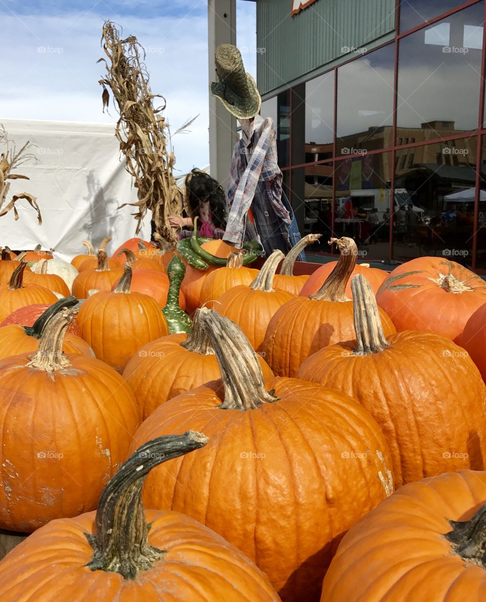 Autumn is Here!, autumn, fall, colors, pumpkins, shopping, Kansas City