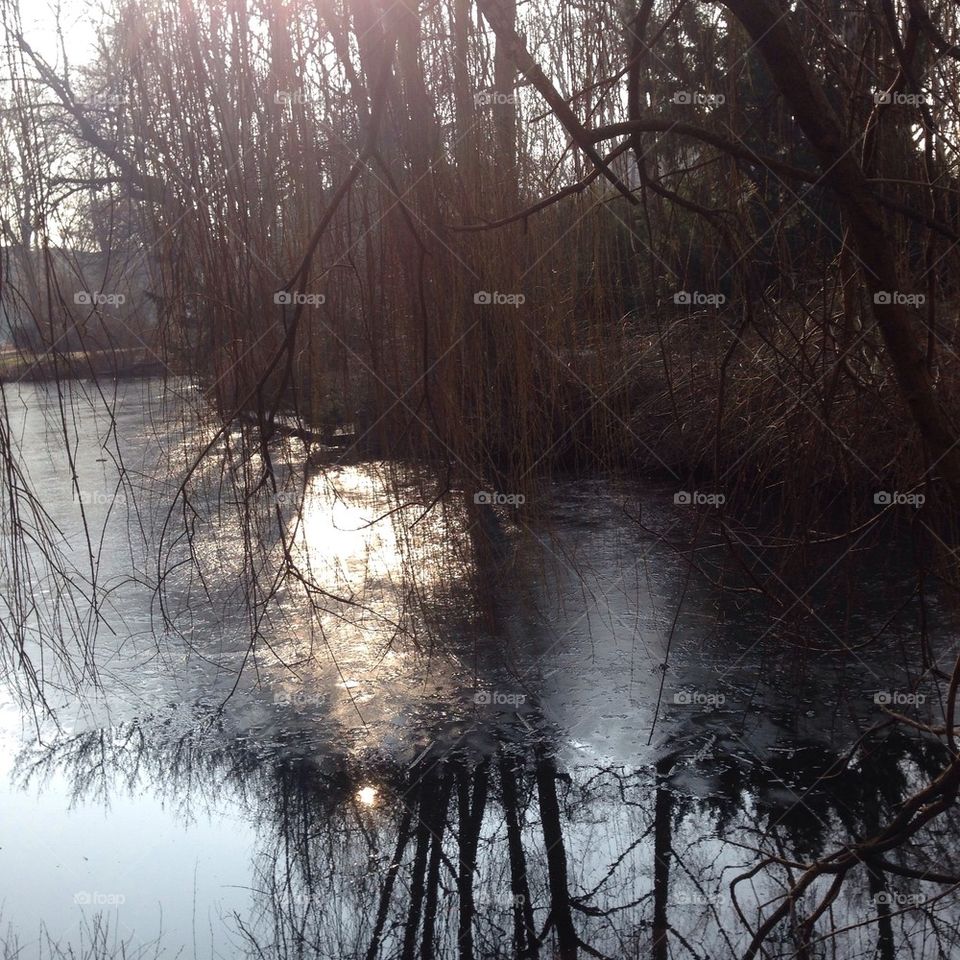 A visit in Tiergarden Berlin