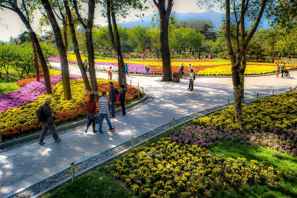 A nice stroll around Beijing Botanical Garden during autumn.