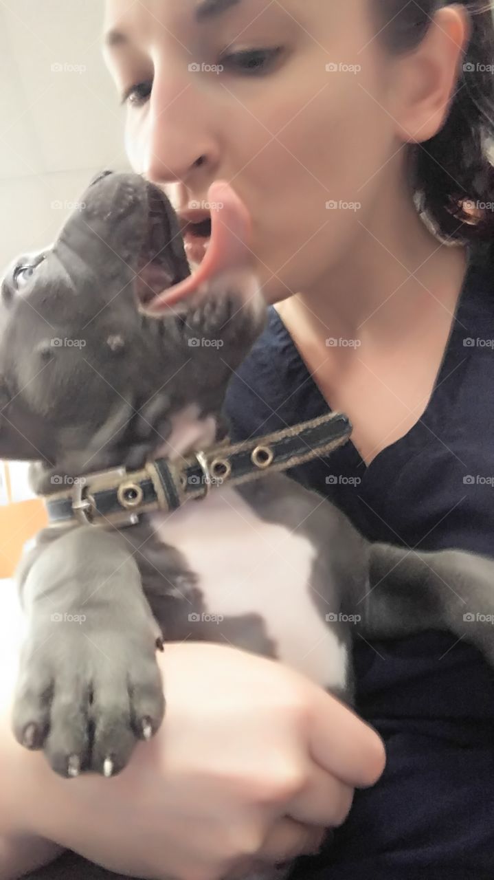 yawning puppy