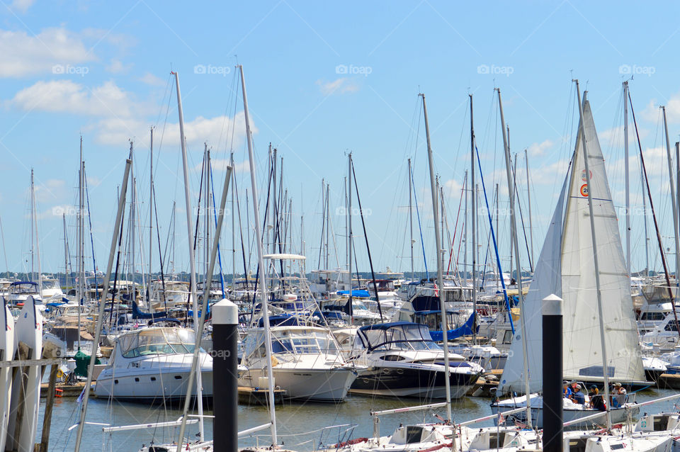 Many sailboats docked in a harbor in the Atlantic ocean