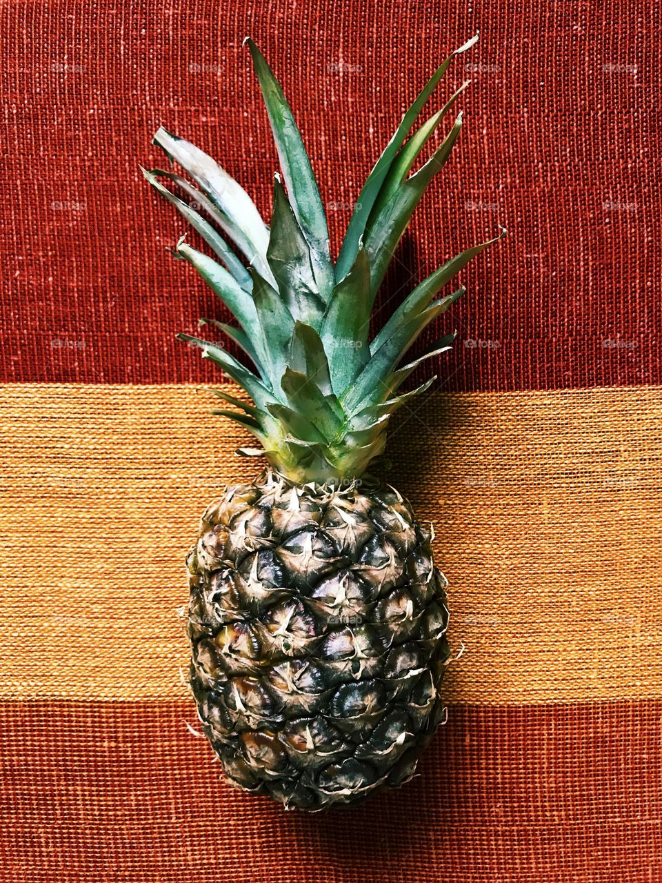 Tropical pineapple 