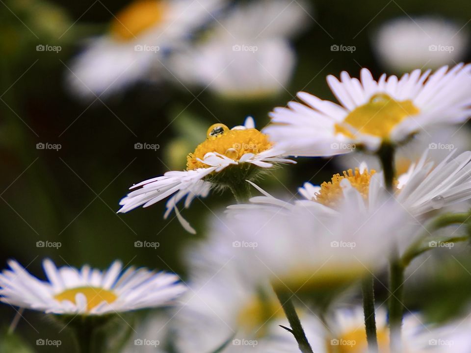 the beautiful side of the rain