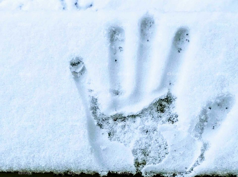 Hand Print in Snow