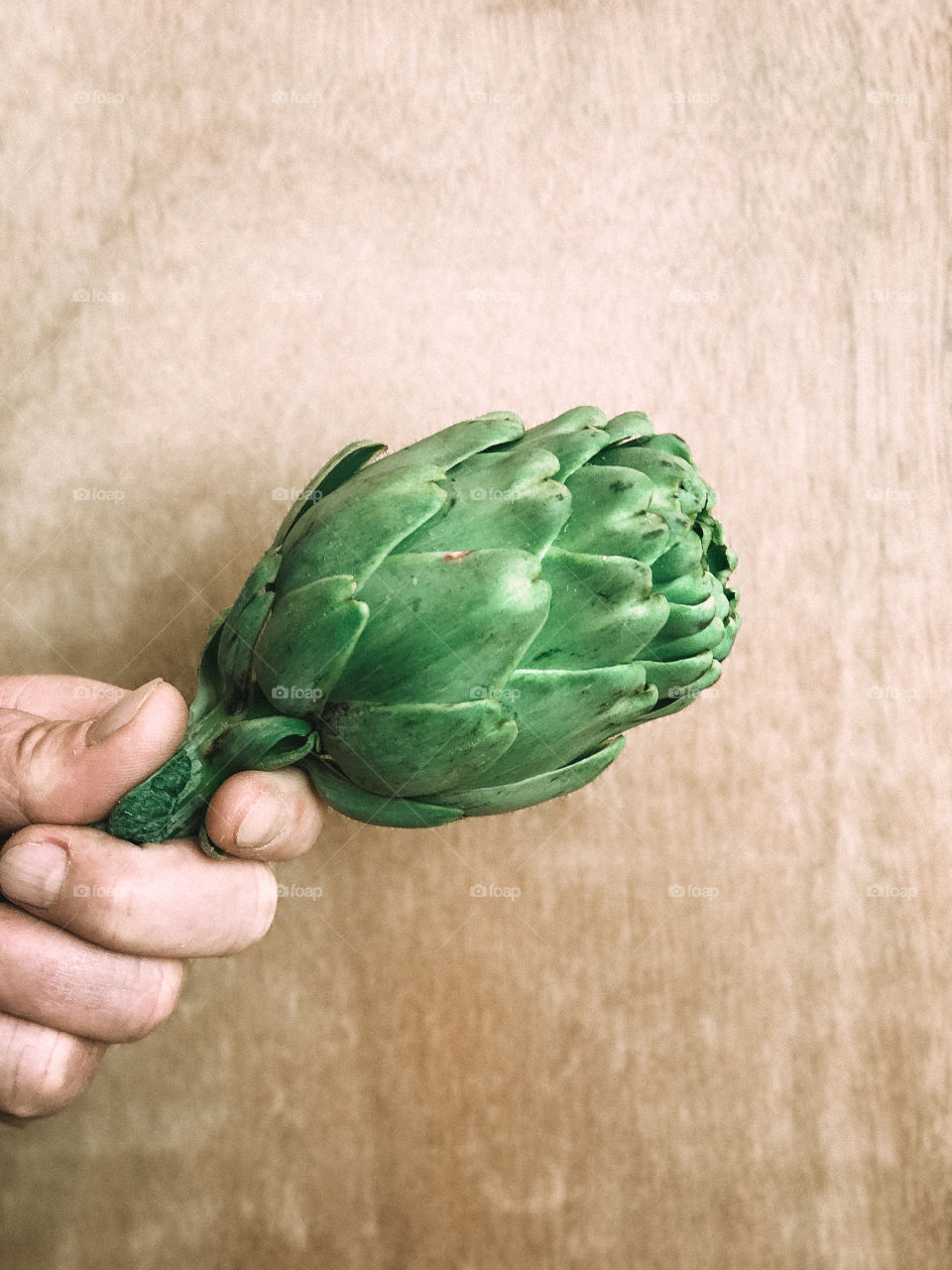 Hand holding artichokes 