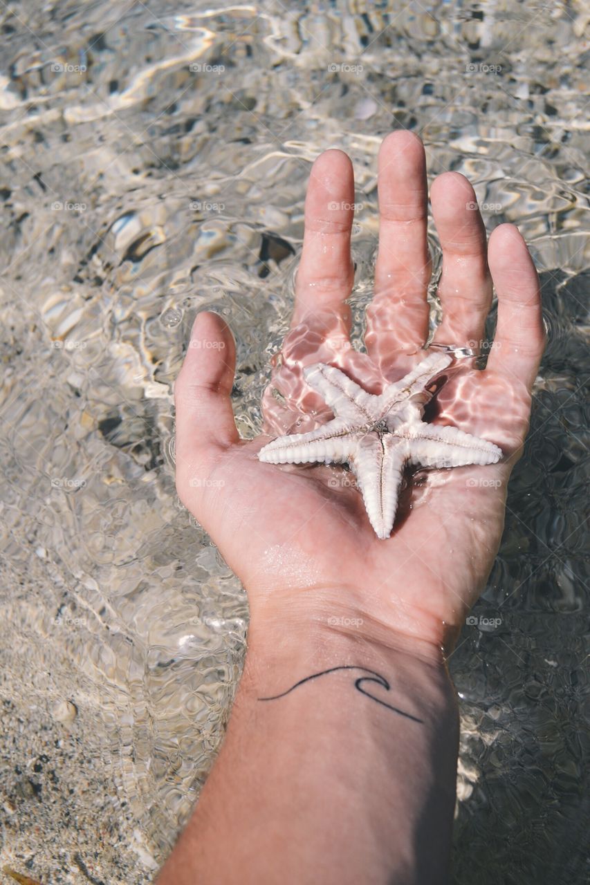 Sea Stars. Found a starfish