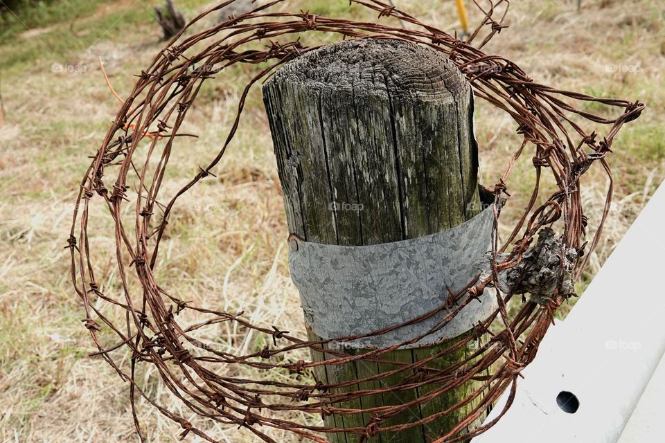 Cold harsh and unforgiving steel barbed wire is wrapped around a weathered wood post