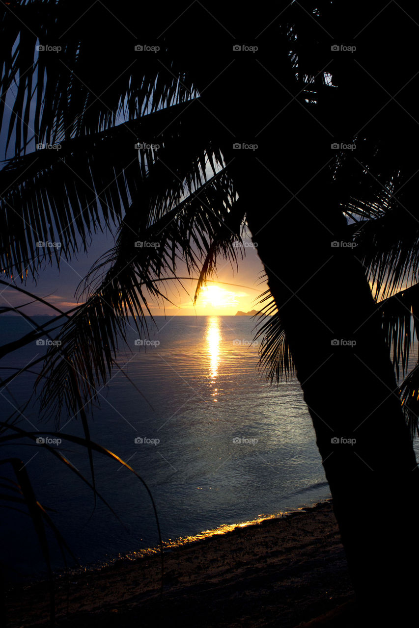 beach sunset shadow palm by b0nitak