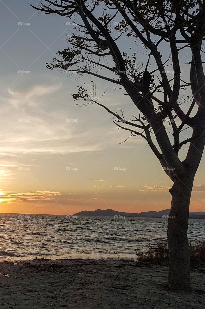 At dusk on the beach.