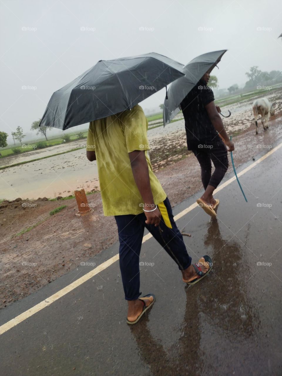 big brother run in road