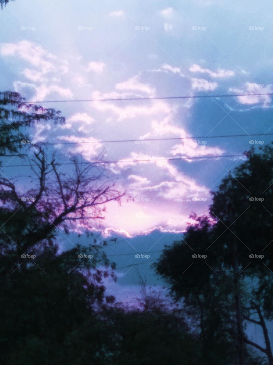 Sun set scene whites cloud scattered dark tree clouds whites shining slightly blue sky