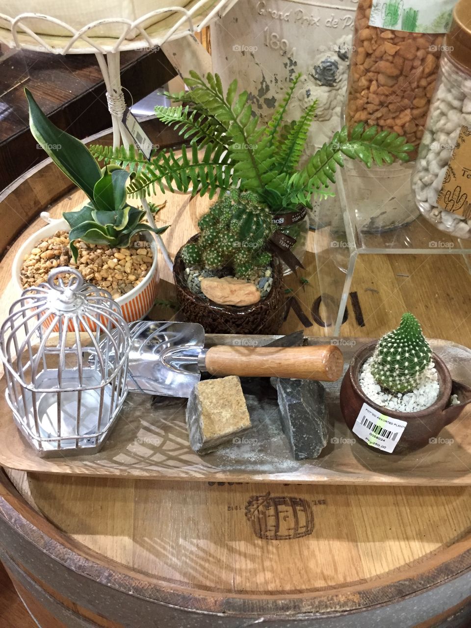 Terrarium bar