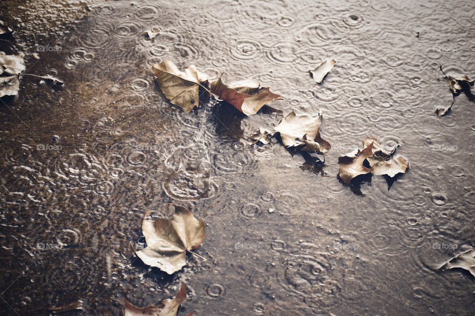 Afternoon Rainfall 