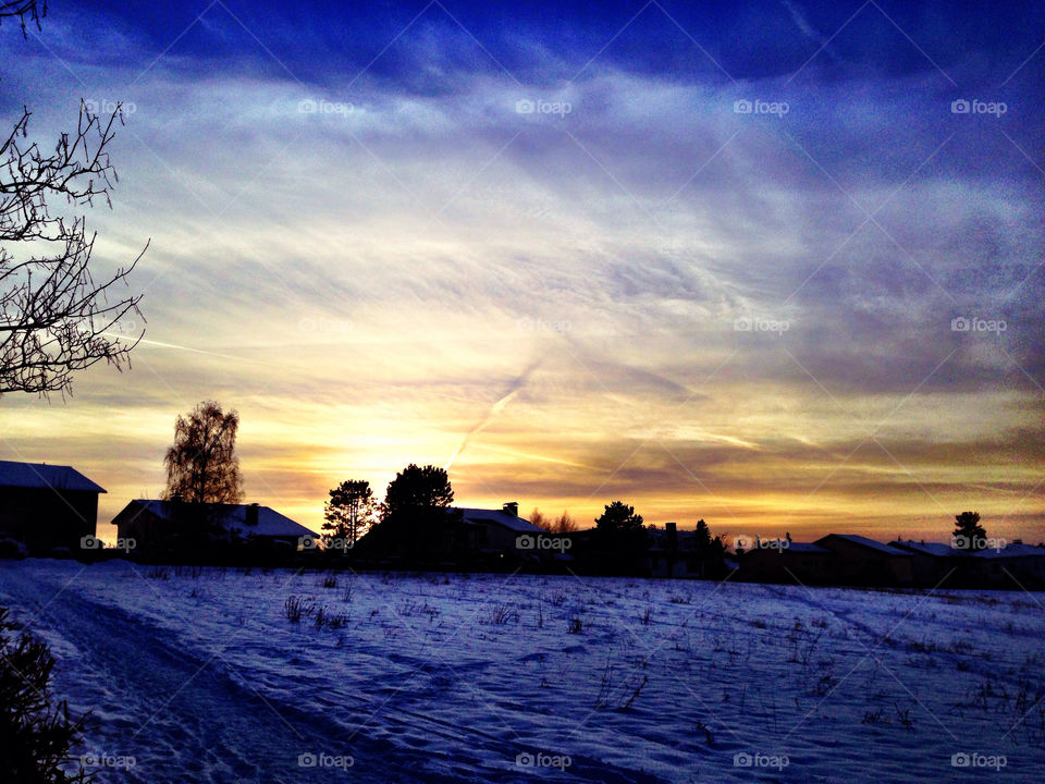 sky blue tree sunset by iphotograph-2610