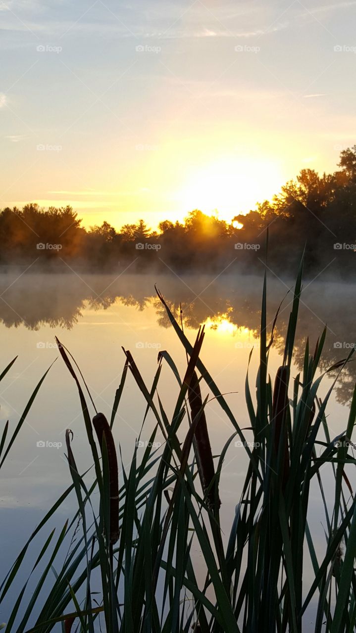 autumn sunrise at the pond