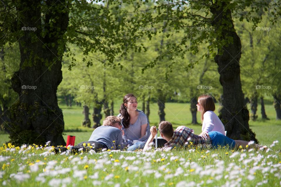 Picnic . Picnic 