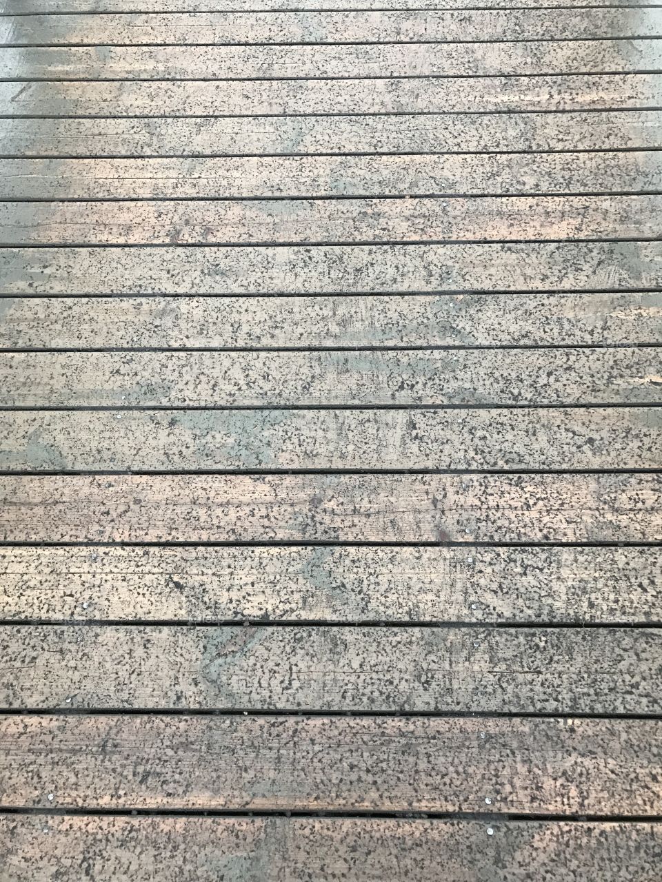 Texture 