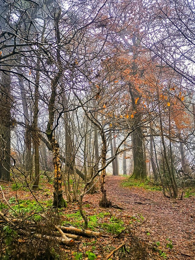 Scottish glen