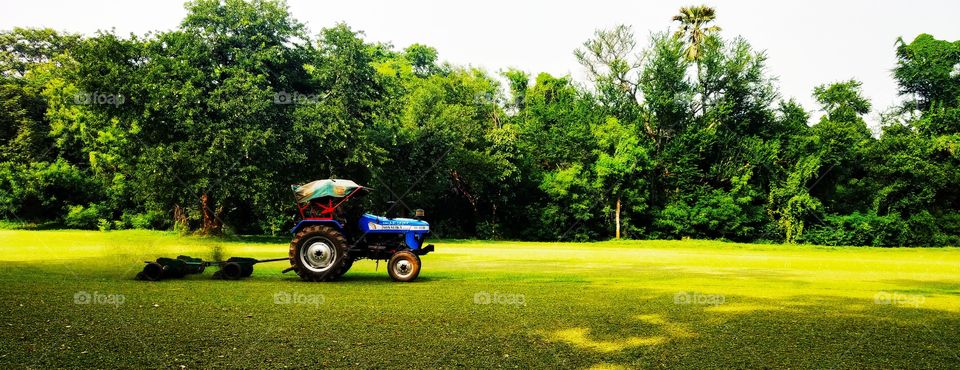 golf field grass cutting
