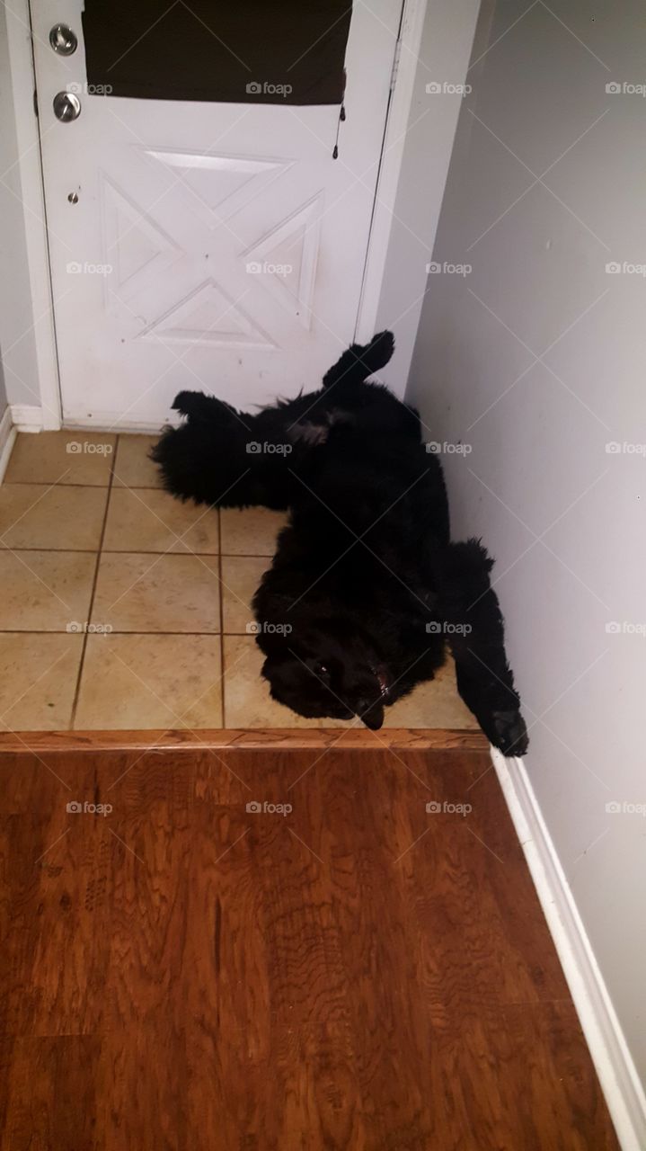 One, No Person, Indoors, People, House