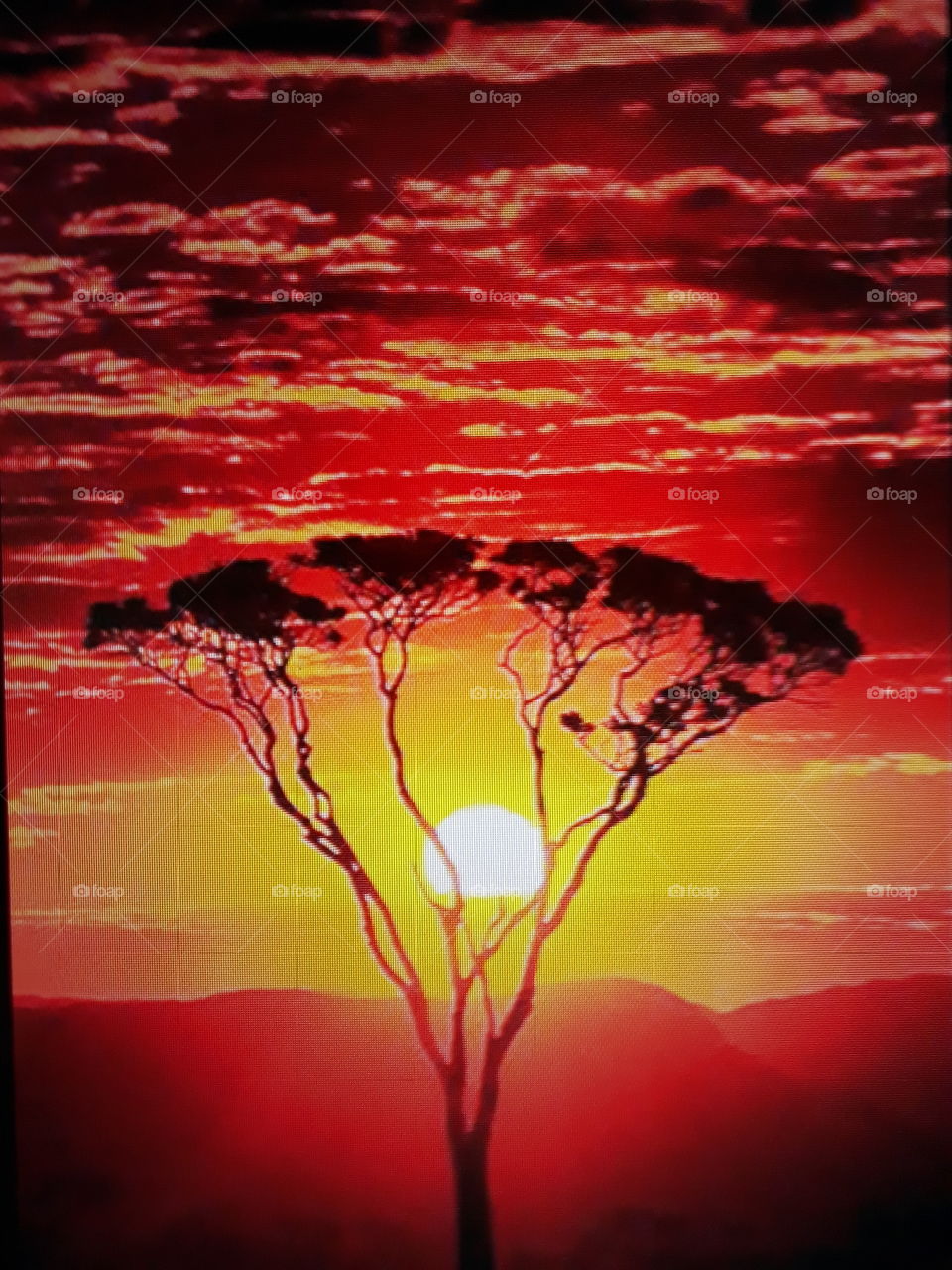 A beautiful landscape with sunset a beautiful tree and the reddish sky the clouds totally red.